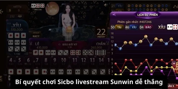 Hướng dẫn quy tắc chơi sicbo livestream Sunwin chuẩn 