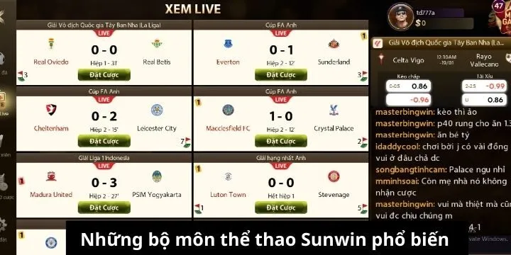 Các sản phẩm đặc sắc nhất của sảnh thể thao Sunwin 