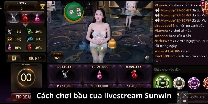Cách chơi bầu cua livestream Sunwin chi tiết cho newbie